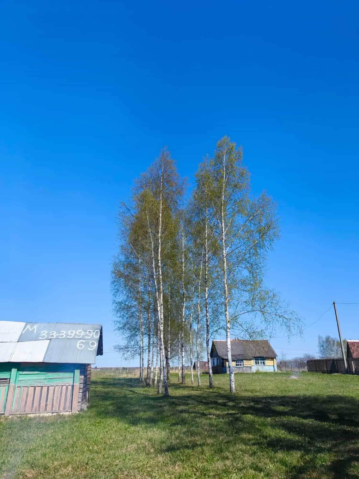 Беларусь, Витебская область, Оршанский район, агрогородок Бабиничи, Могилёвская улица, 140, фото 2