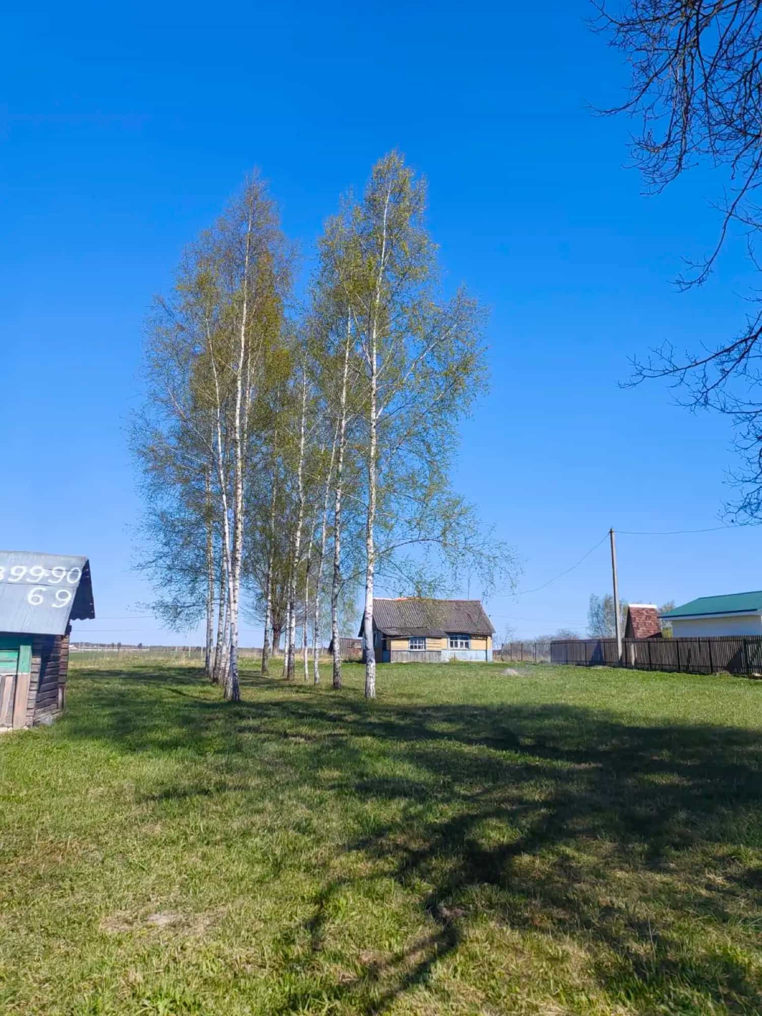 Беларусь, Витебская область, Оршанский район, агрогородок Бабиничи, Могилёвская улица, 140, фото 4