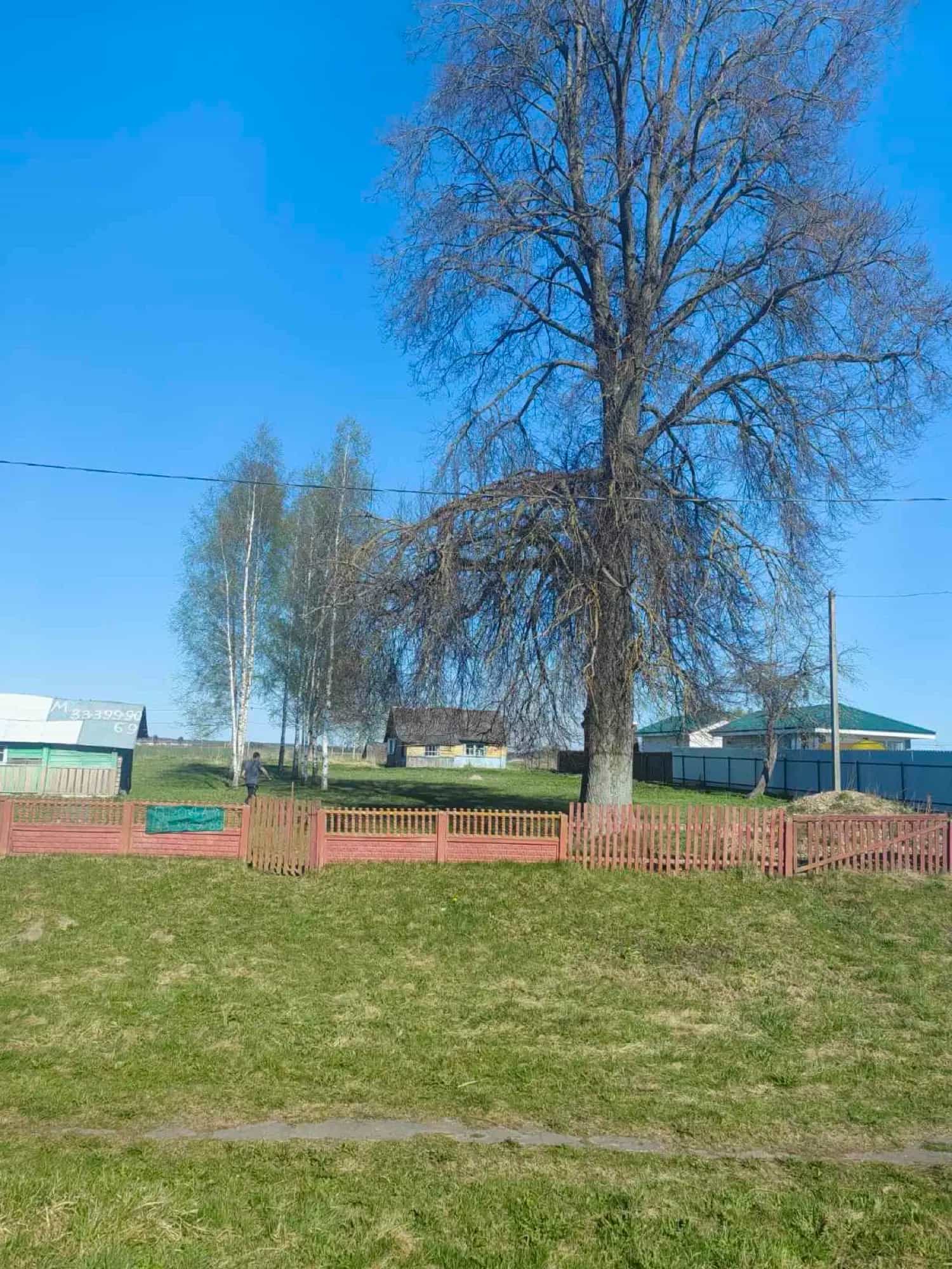 Беларусь, Витебская область, Оршанский район, агрогородок Бабиничи, Могилёвская улица, 140, фото 6