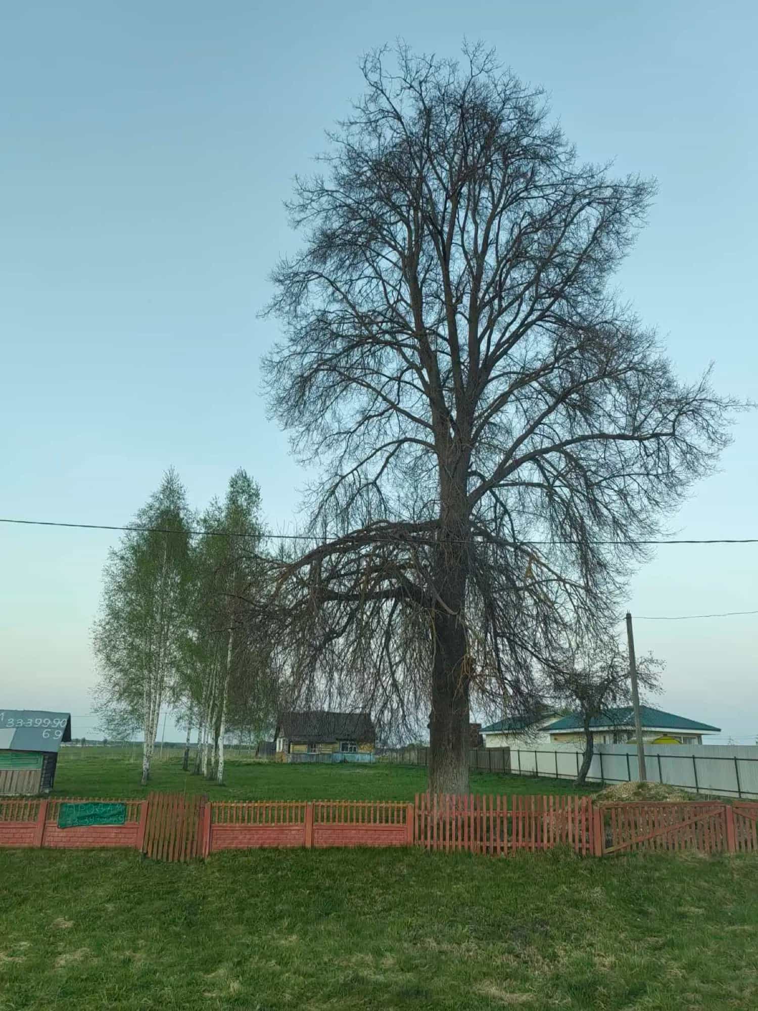 Беларусь, Витебская область, Оршанский район, агрогородок Бабиничи, Могилёвская улица, 140, фото 7
