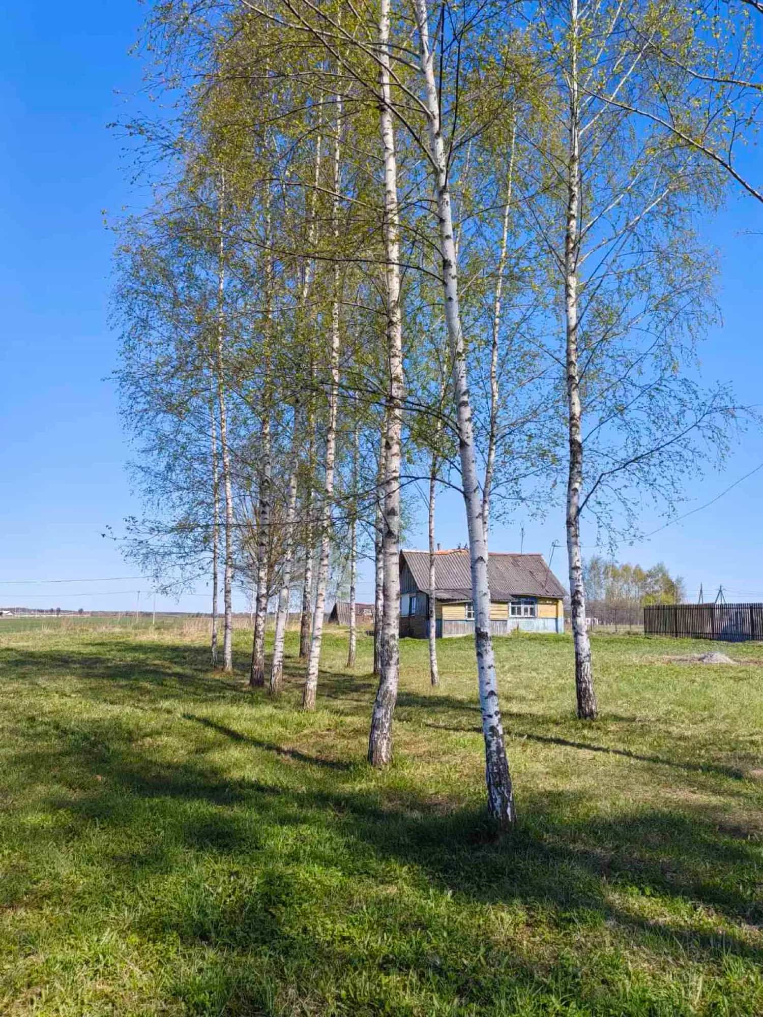 Беларусь, Витебская область, Оршанский район, агрогородок Бабиничи, Могилёвская улица, 140, фото 8