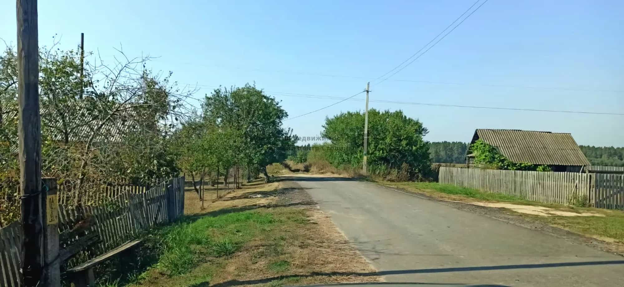 Беларусь, Могилёвская область, Осиповичский район, Лапичский сельсовет, деревня Погорелое, Центральная улица, 61, фото 7