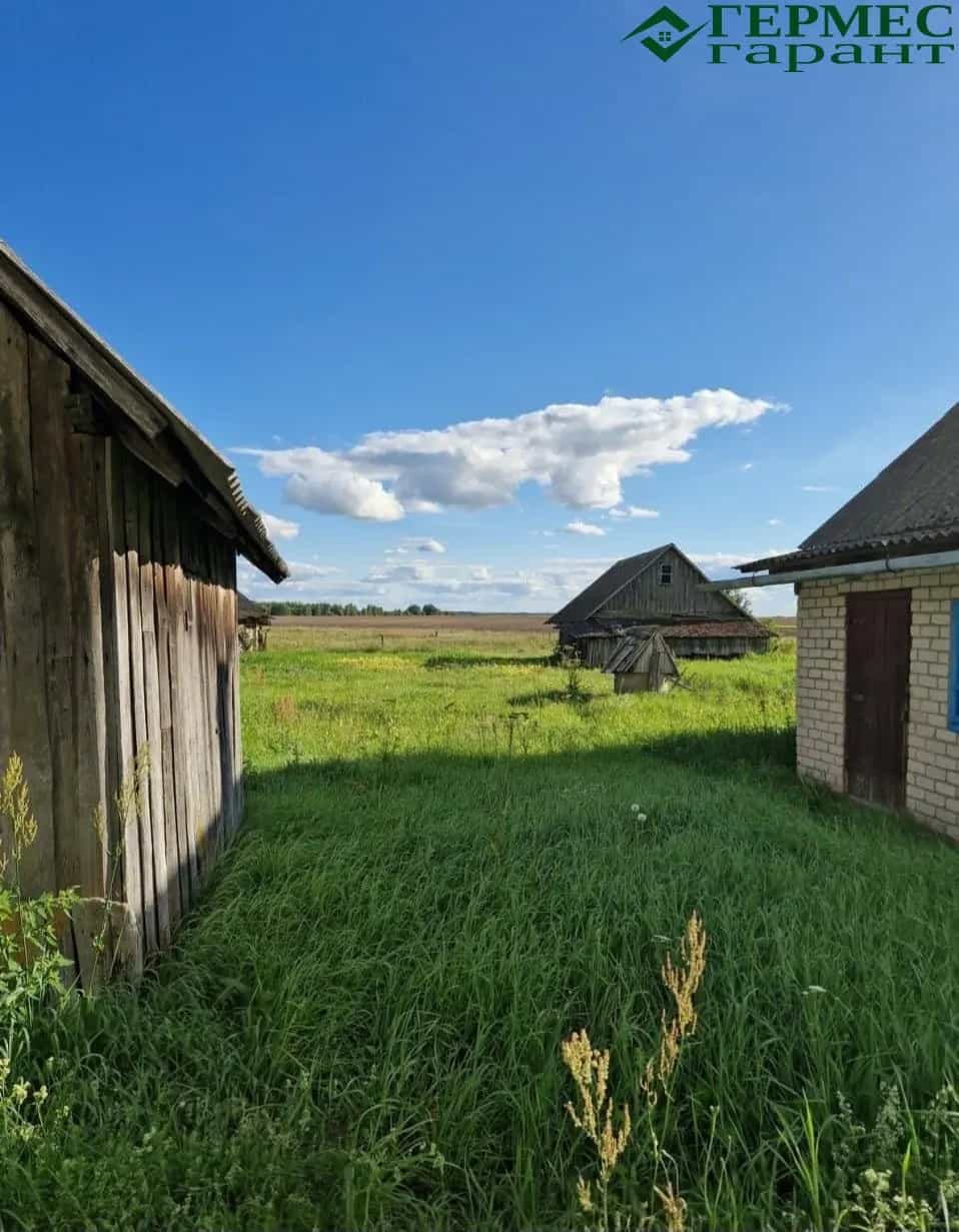 Беларусь, Гродненская область, Щучинский район, Первомайский сельсовет, деревня Воробьи, 11, фото 5