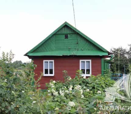Беларусь, Брестский район, Чернавчицкий сельсовет, деревня Козловичи, Белорусская улица, 58, фото 3