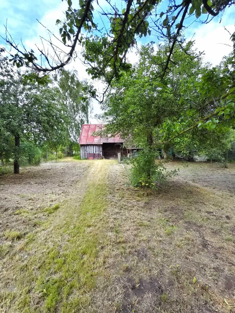 Беларусь, Брестская область, Жабинковский район, агрогородок Ракитница, улица 24-го съезда КПСС, 39, фото 4