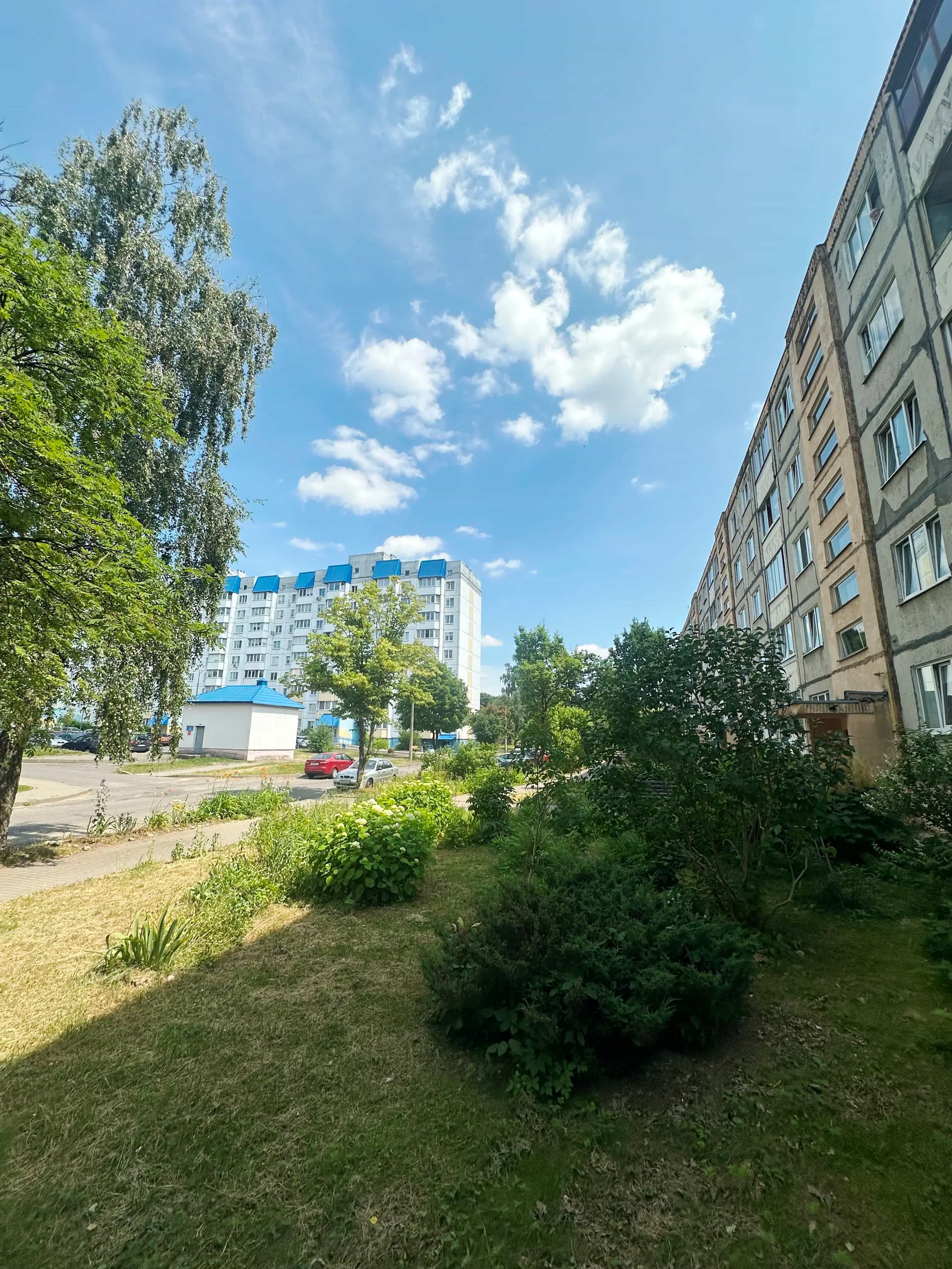 Беларусь, Минский район, Боровлянский сельсовет, агрогородок Лесной, Мирная улица, 12, фото 7