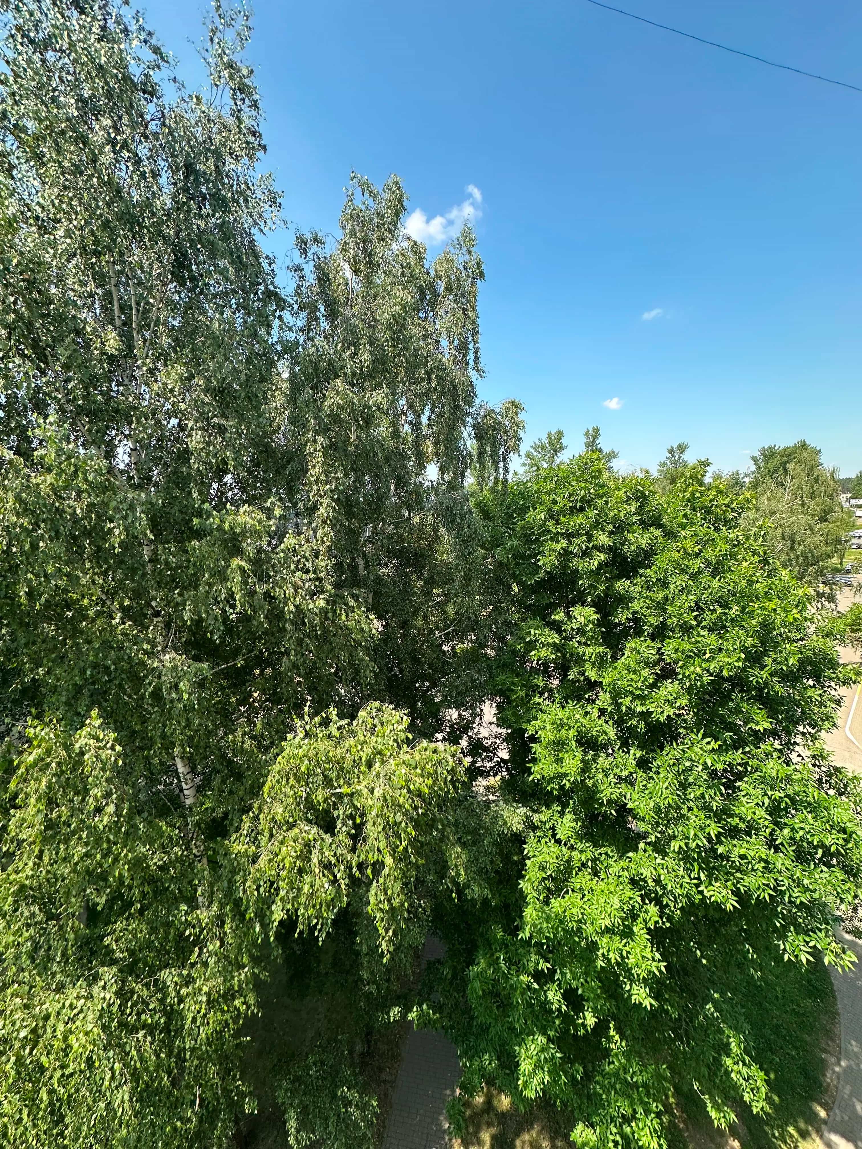 Беларусь, Минский район, Боровлянский сельсовет, агрогородок Лесной, Мирная улица, 12, фото 19