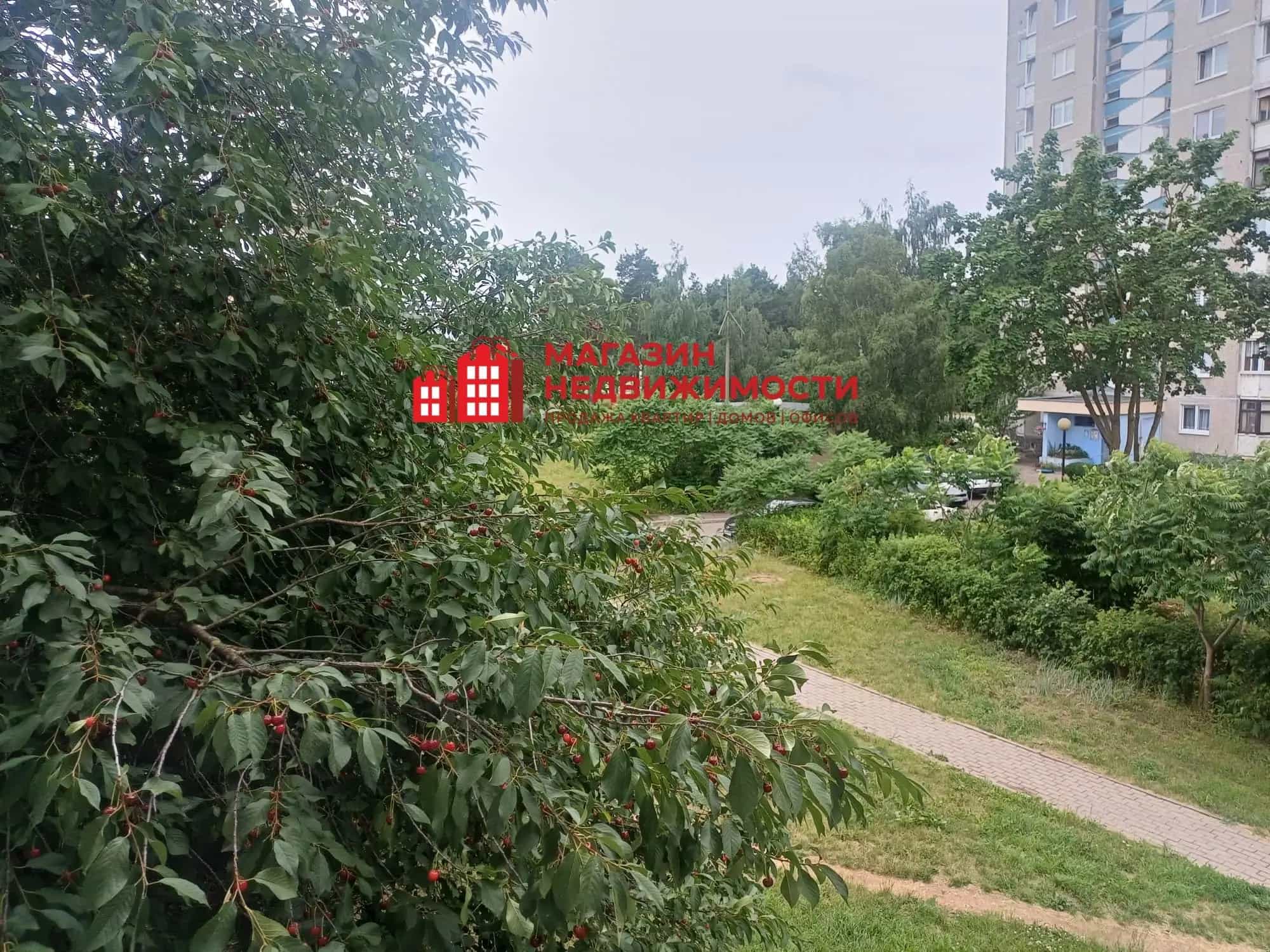 Беларусь, Гродно, улица Фолюш, 15/205, фото 16