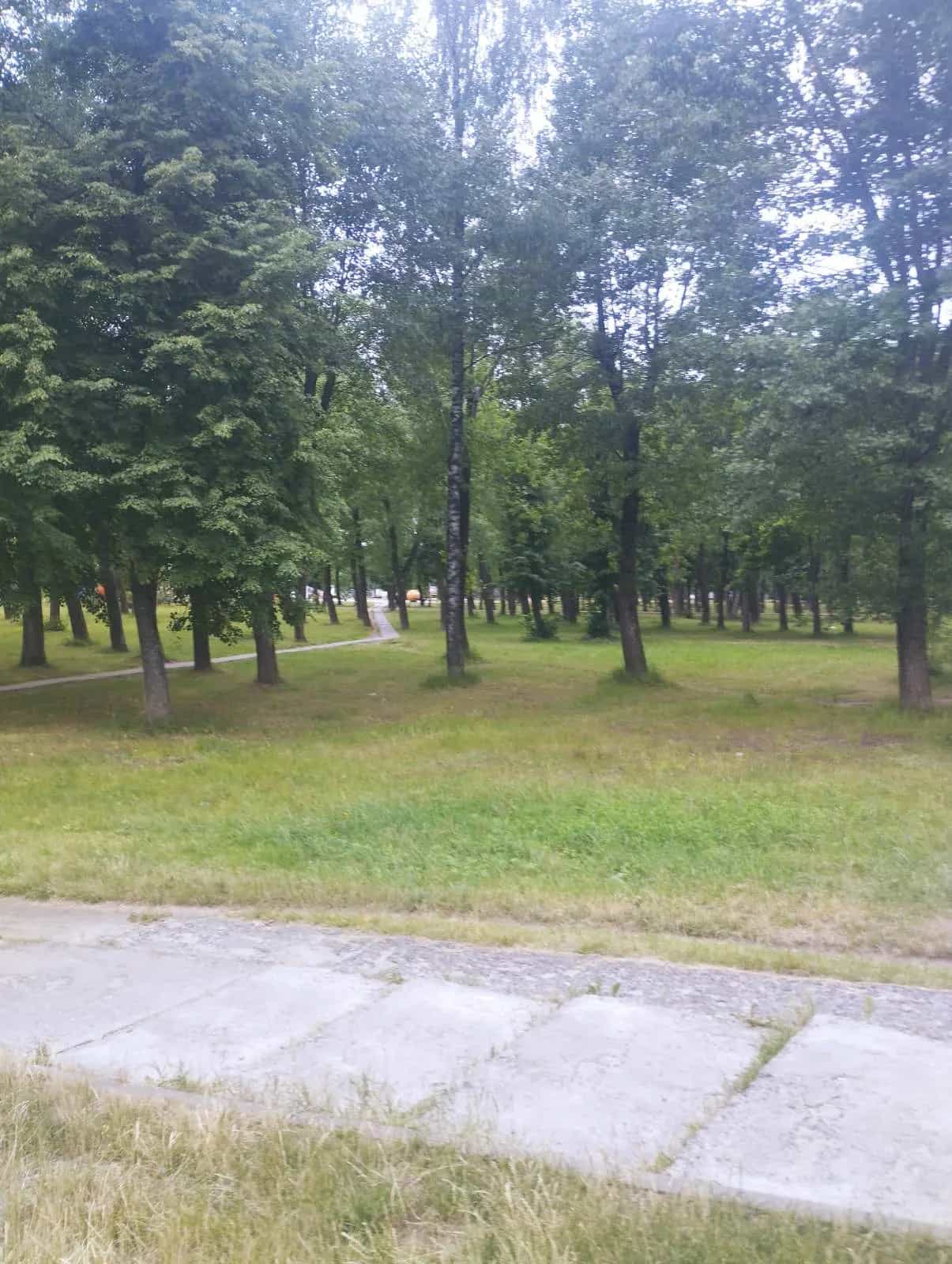 Беларусь, Могилёвская область, Осиповичи, улица Сумченко, 51, фото 15