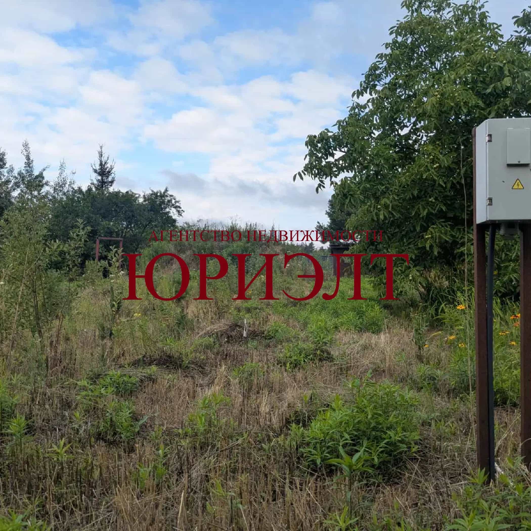 Беларусь, Брестская область, Жабинковский сельсовет, СТ Пралеска, 213