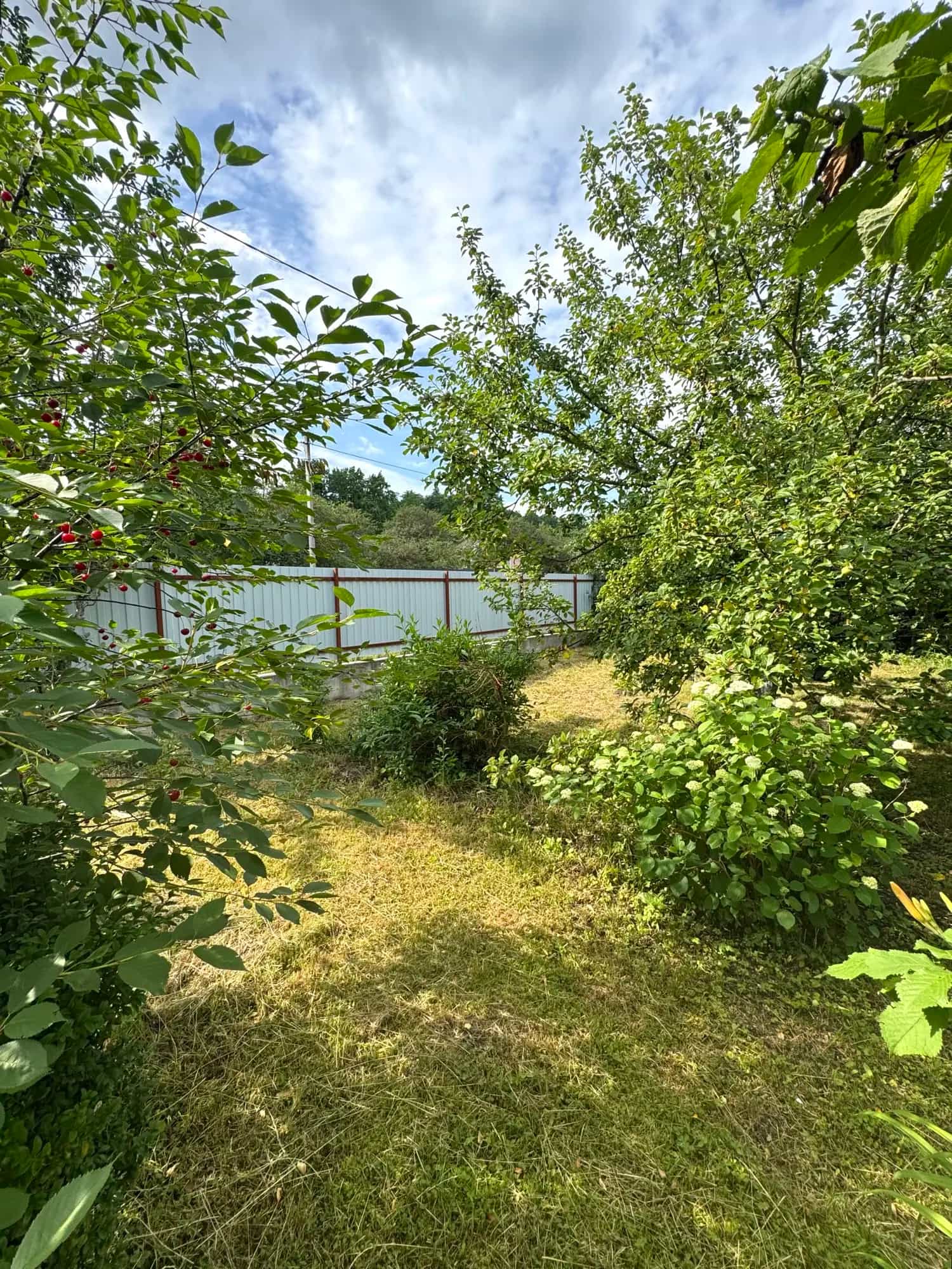 Беларусь, Гродненская область, Слоним, Подлесная улица, 82, фото 3