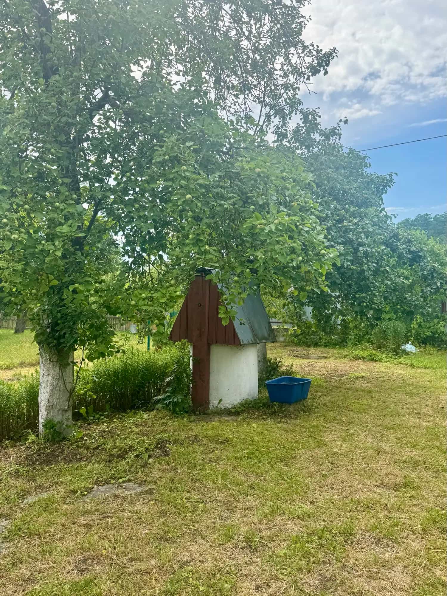 Беларусь, Гродненская область, Слоним, Подлесная улица, 82, фото 4