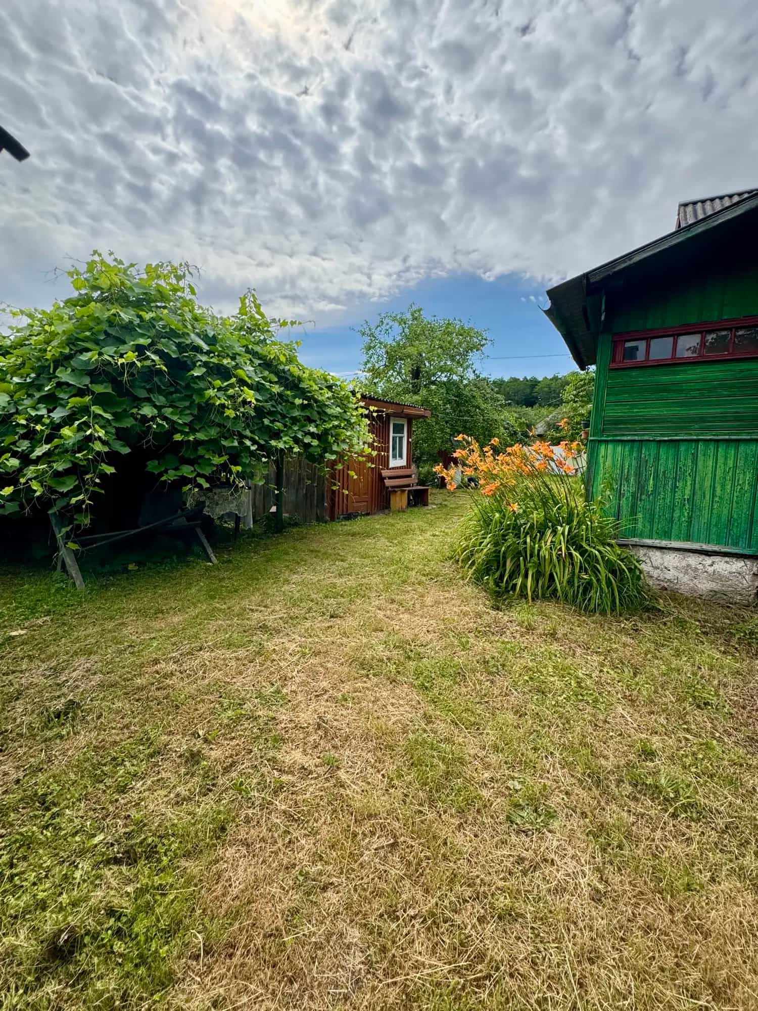 Беларусь, Гродненская область, Слоним, Подлесная улица, 82, фото 5