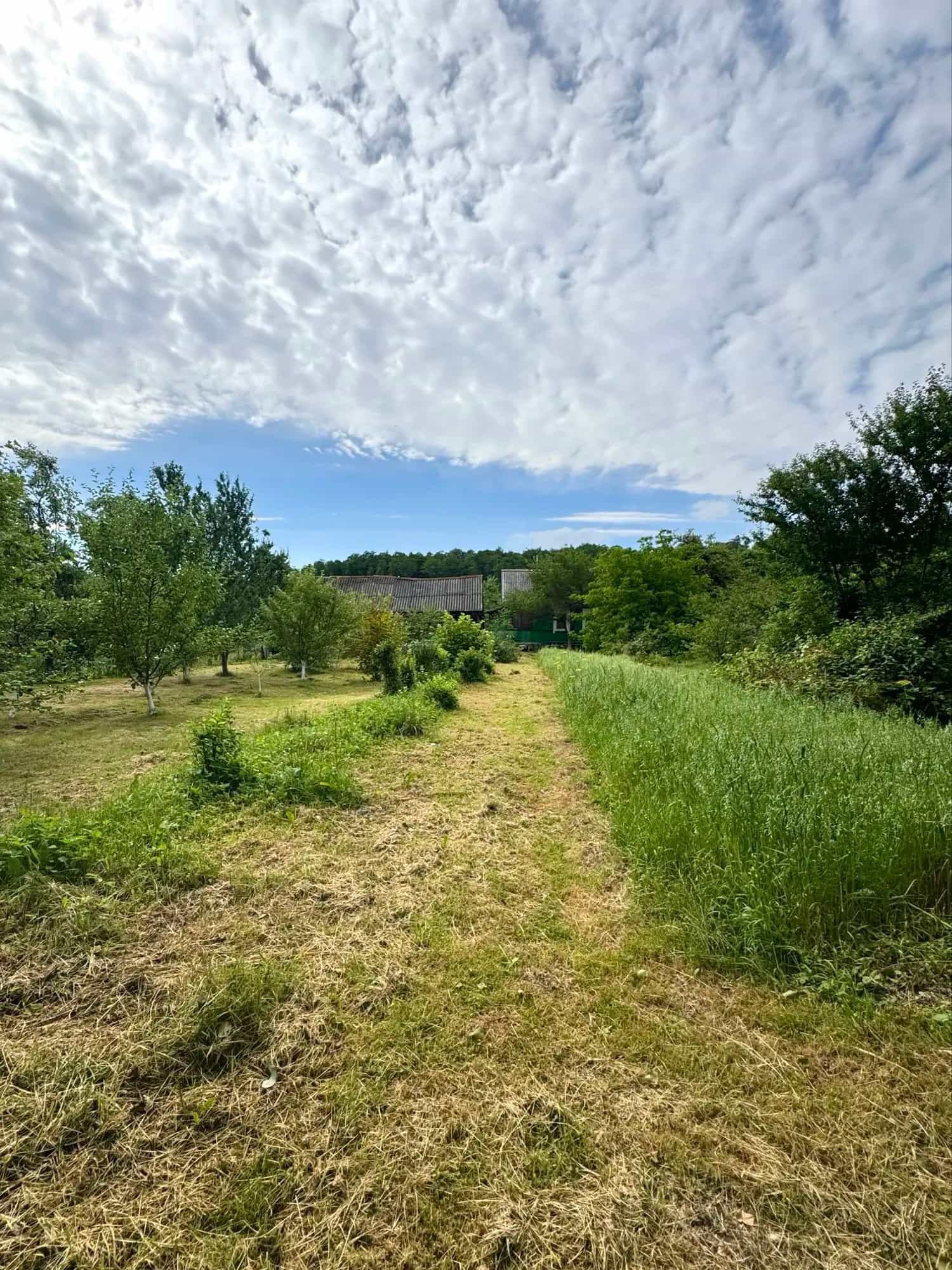 Беларусь, Гродненская область, Слоним, Подлесная улица, 82, фото 6