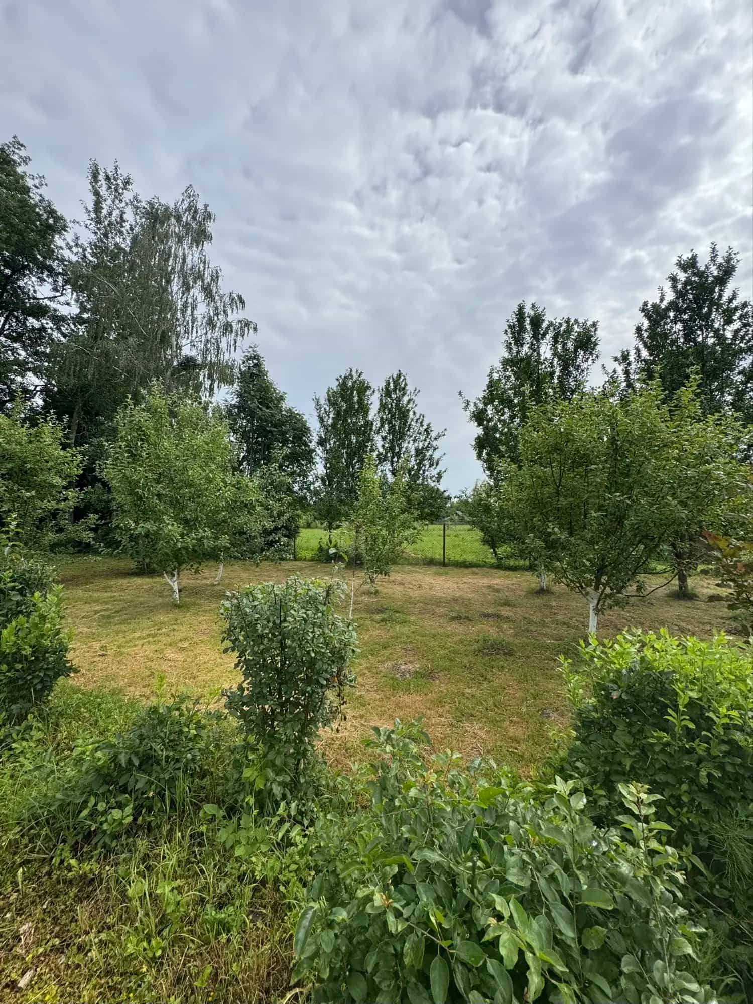 Беларусь, Гродненская область, Слоним, Подлесная улица, 82, фото 7
