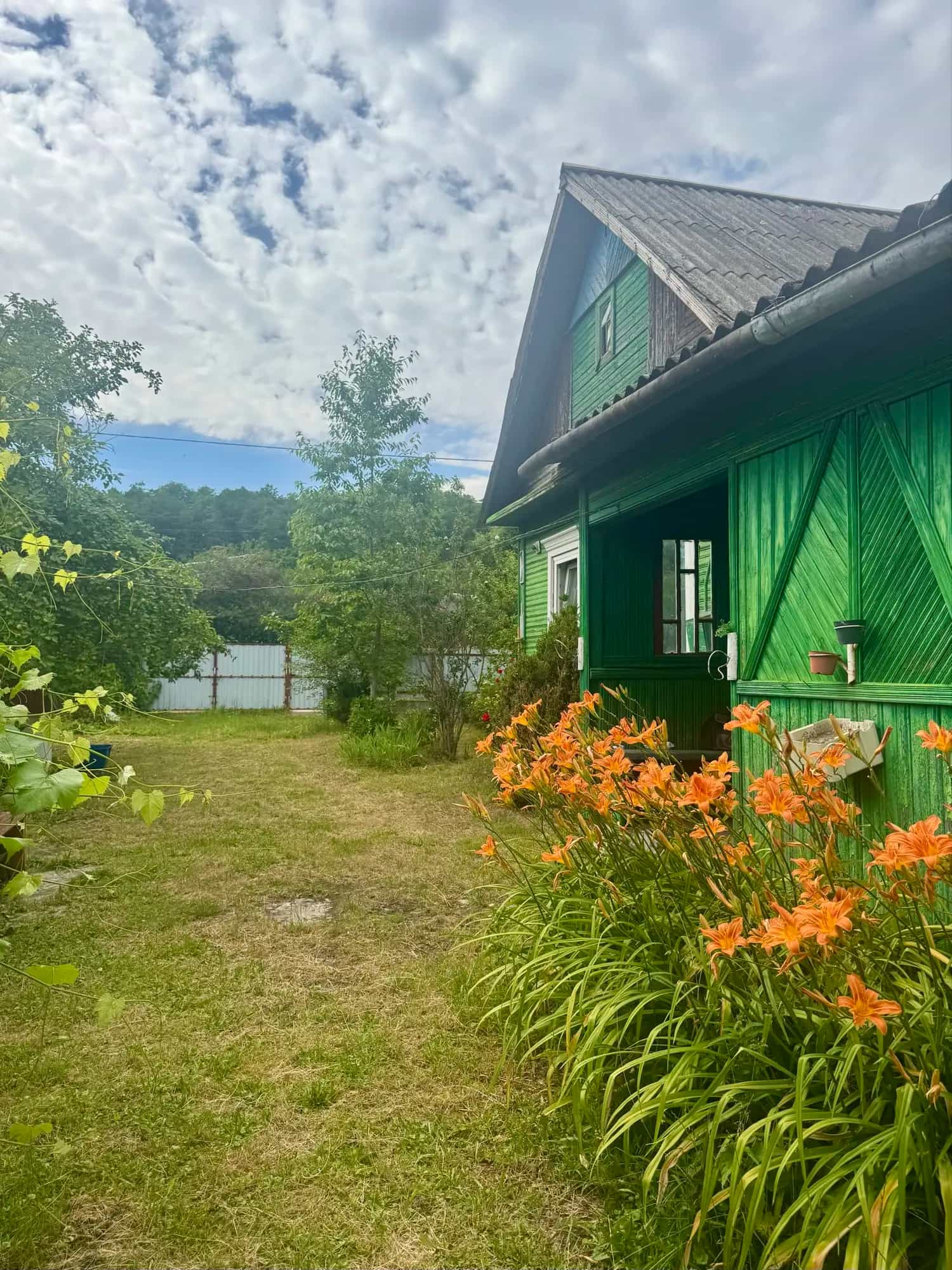 Беларусь, Гродненская область, Слоним, Подлесная улица, 82, фото 9
