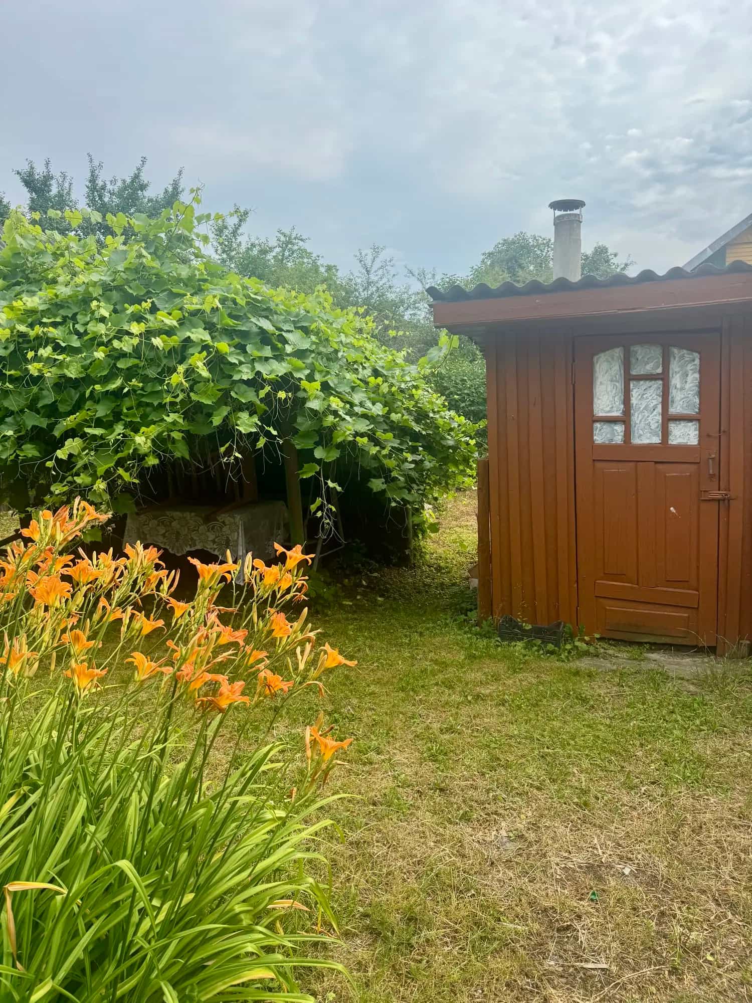 Беларусь, Гродненская область, Слоним, Подлесная улица, 82, фото 14