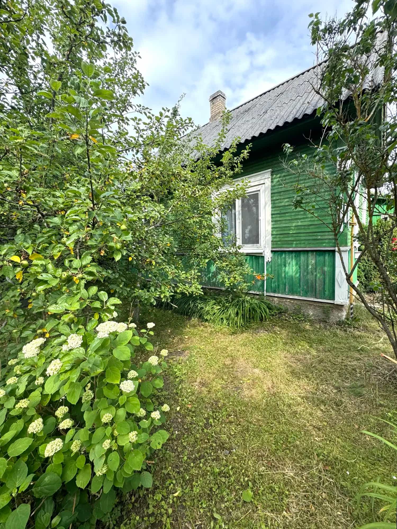 Беларусь, Гродненская область, Слоним, Подлесная улица, 82, фото 16