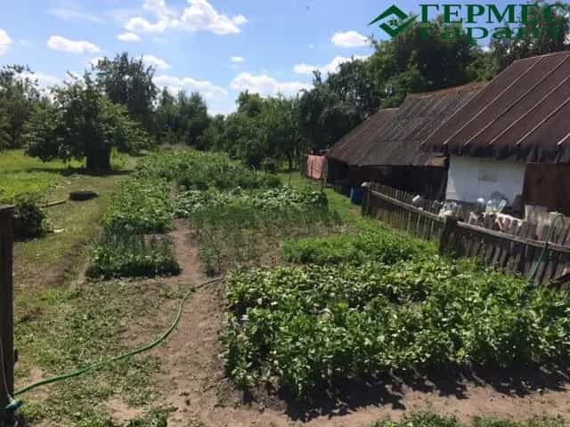 Беларусь, Гродненская область, Щучинский район, городской посёлок Желудок, улица 17 Сентября, 40, фото 6