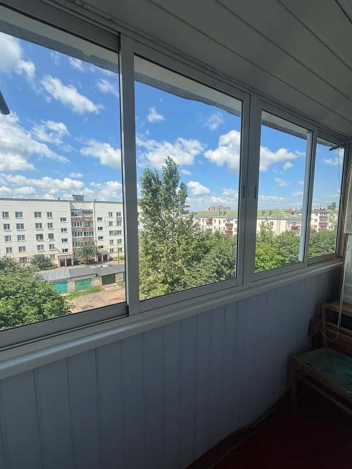 Беларусь, Витебская область, Орша, улица Мира, 36, фото 12