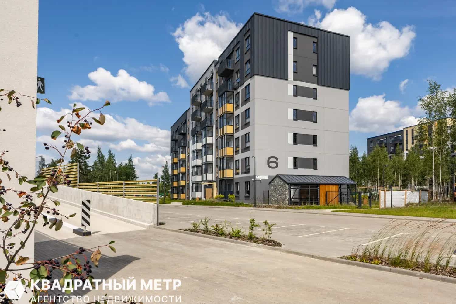 Беларусь, Минский район, агрогородок Колодищи, улица Хвойная Аллея, 6, фото 4