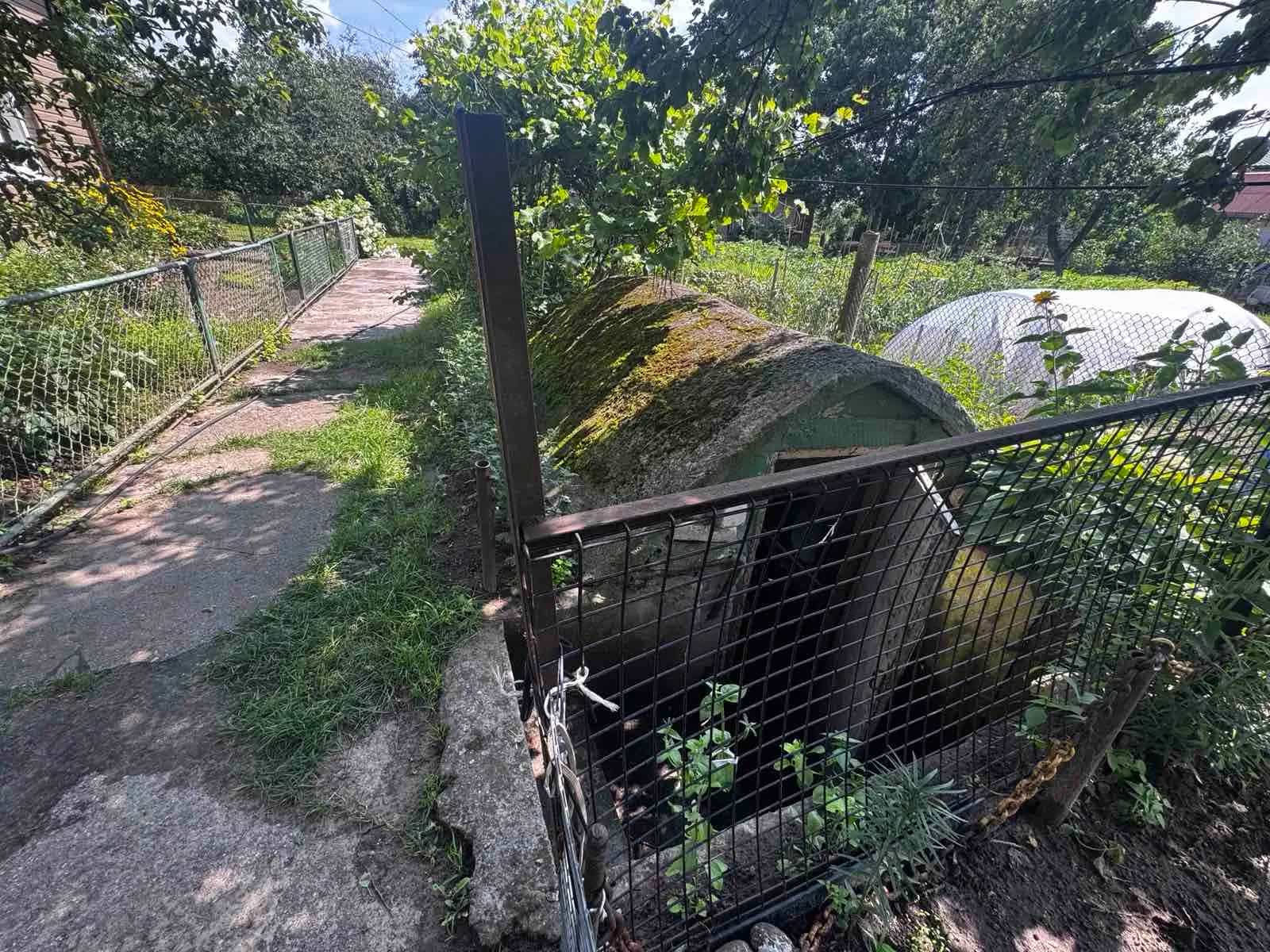 Беларусь, Гродненский район, агрогородок Озёры, улица Кирова, 62В, фото 13