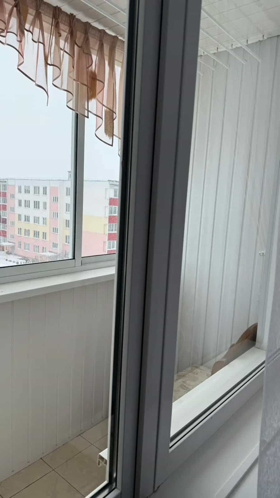Беларусь, Могилёвская область, Кличев, Советская улица, 7, фото 10