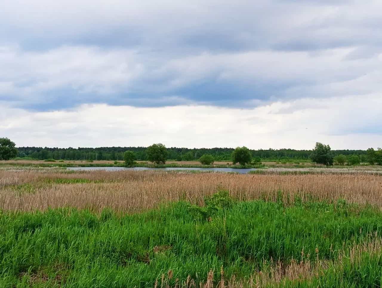 Беларусь, Брестский район, Знаменский сельсовет, СТ Ветеран-3, 513, фото 3