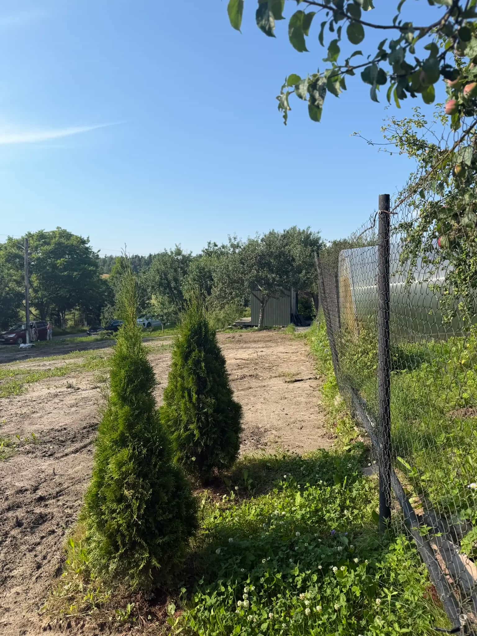 Беларусь, Минская область, Логойский район, Острошицкий сельсовет, садоводческое товарищество Фантазия-Силичи, 94, фото 11