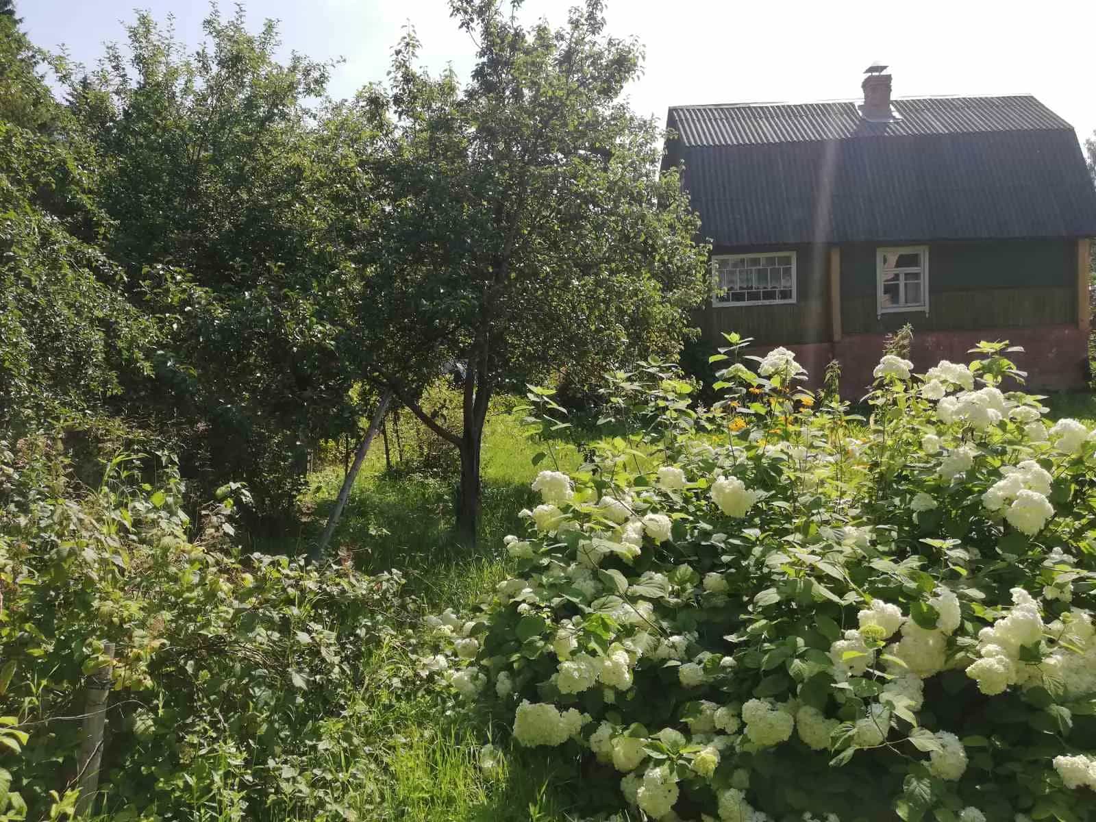Беларусь, Минский район, Колодищанский сельсовет, СТ Юхновское, 59, фото 28