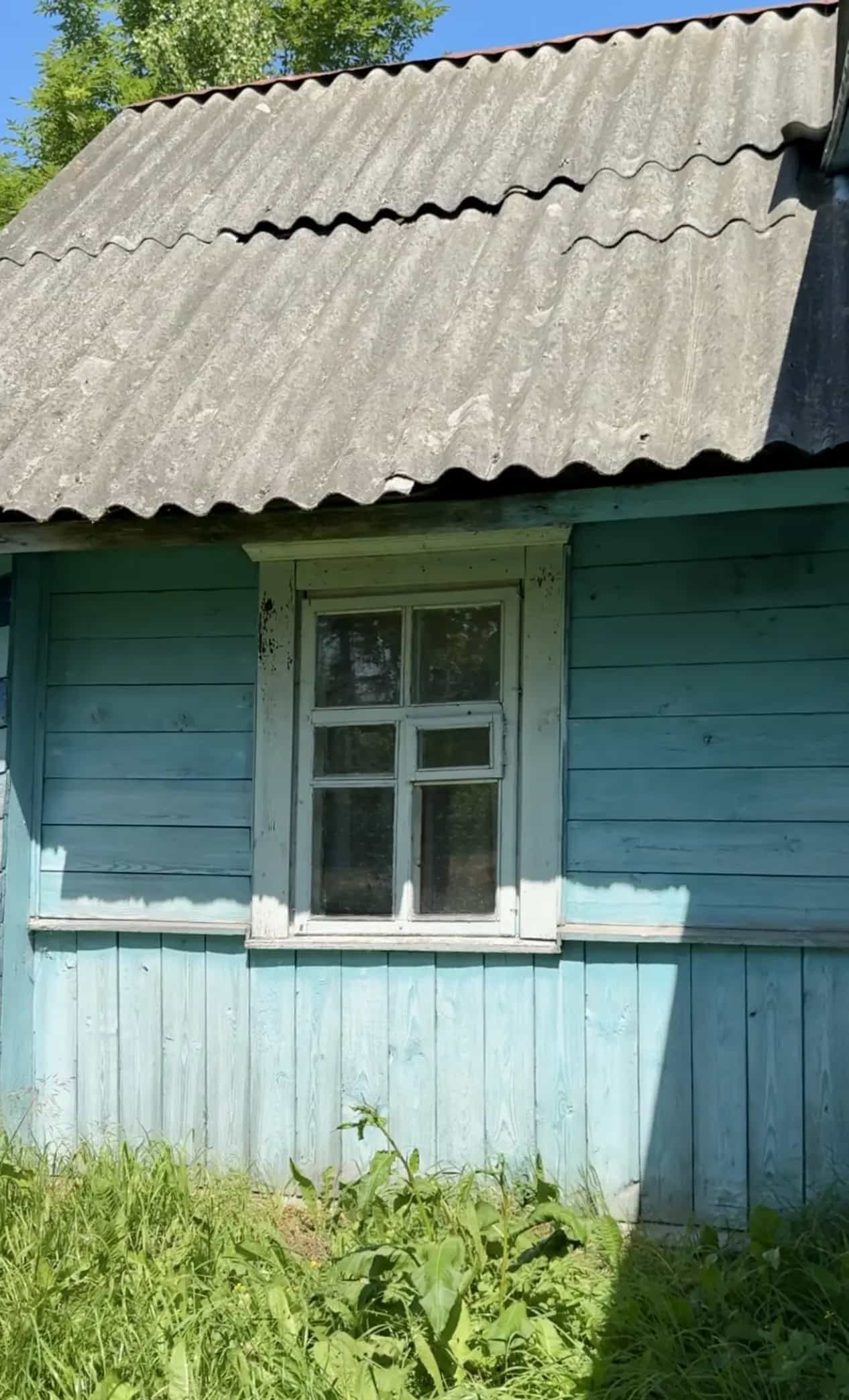 Беларусь, Минская область, Вилейский район, Луговая улица, 7, фото 5