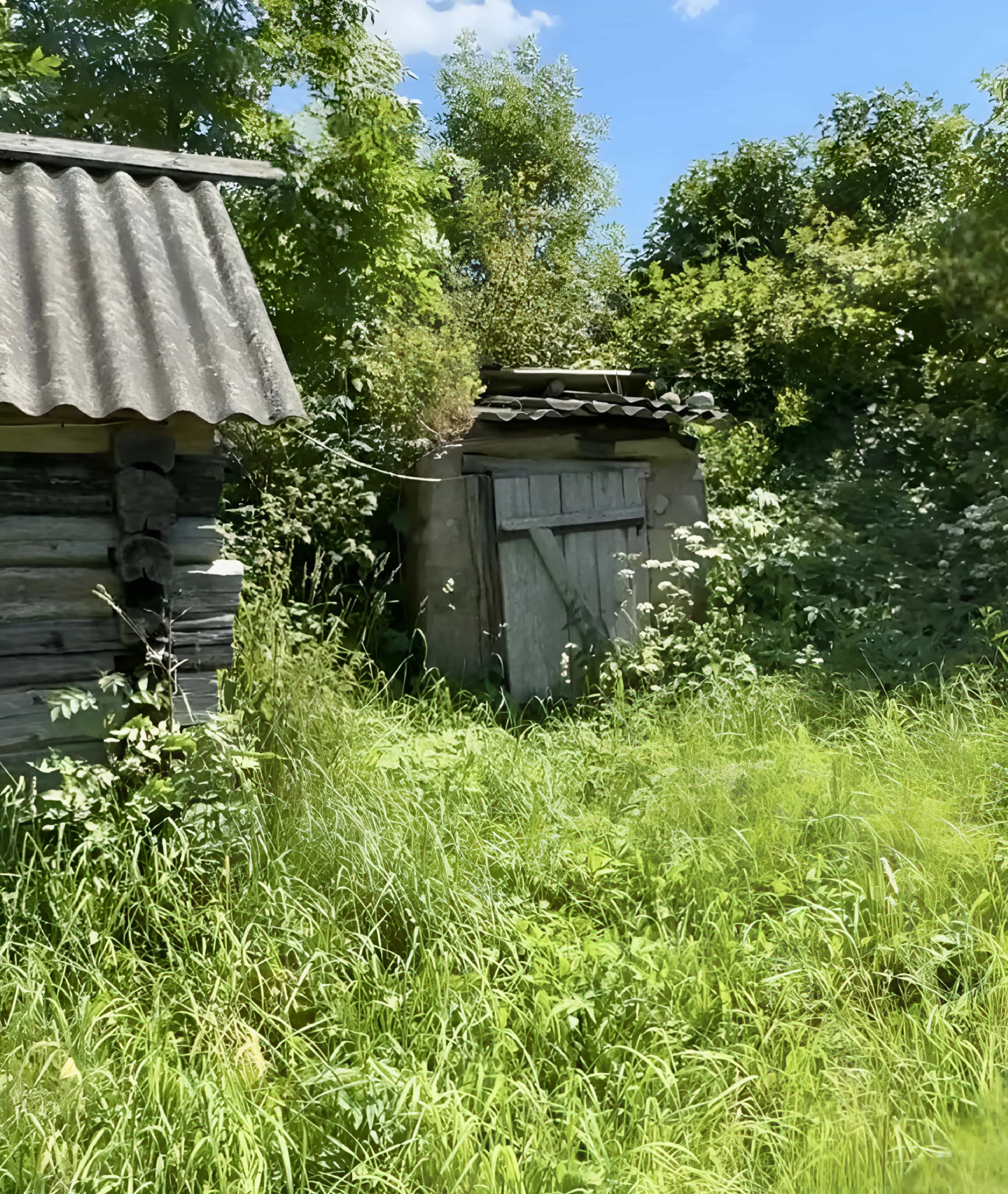 Беларусь, Минская область, Вилейский район, Луговая улица, 7, фото 6