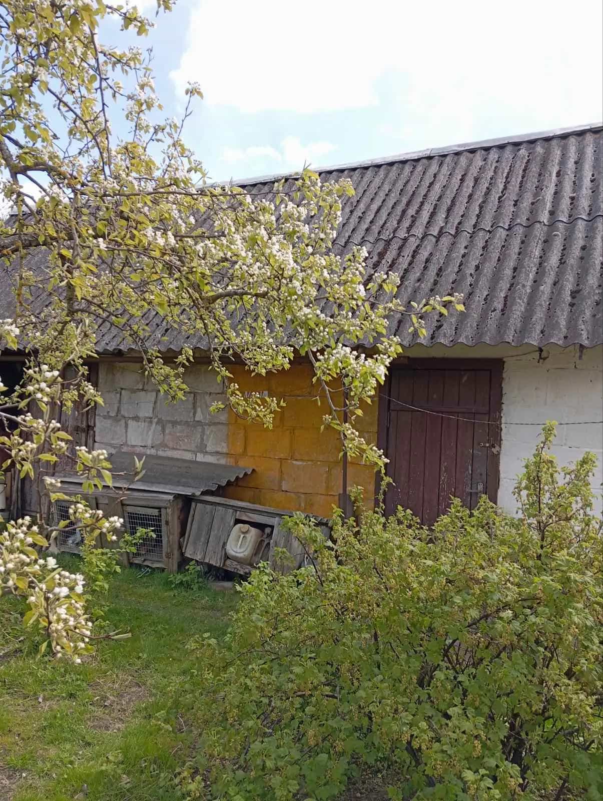 Беларусь, Гродненская область, Свислочь, улица Янки Купалы, 19, фото 2