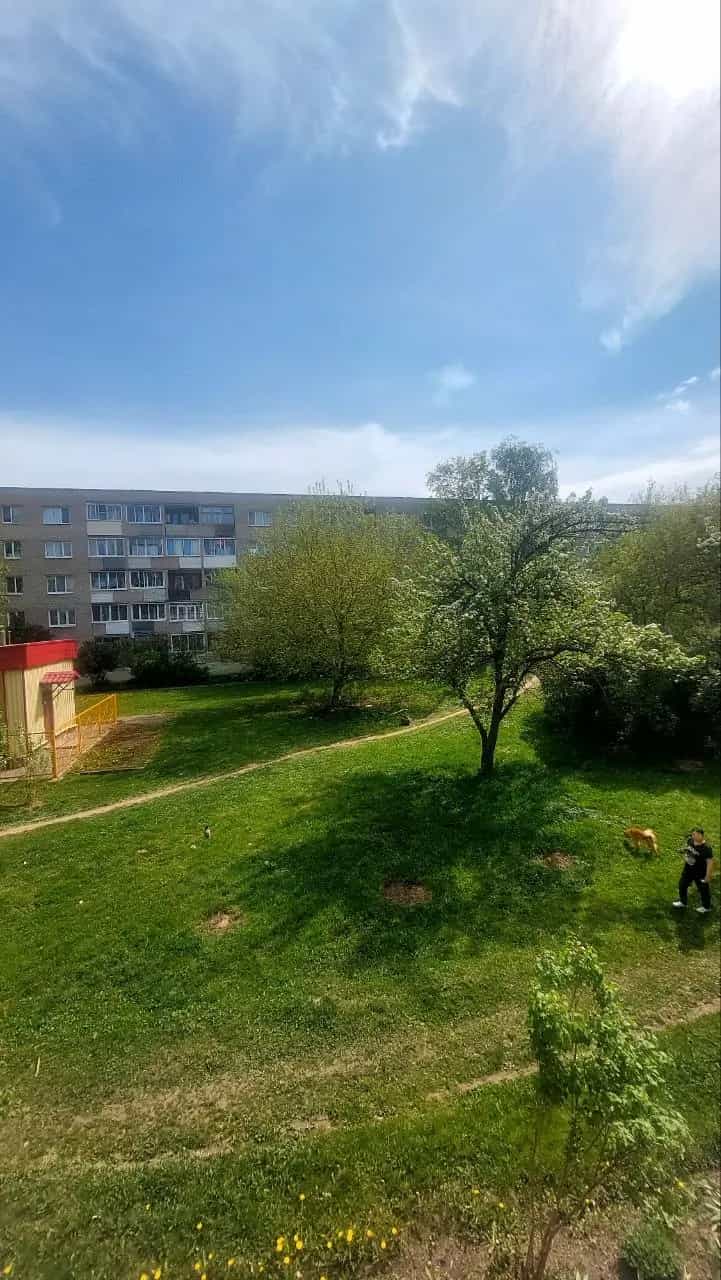 Беларусь, Витебск, Локомотивная улица, 7к4, фото 3