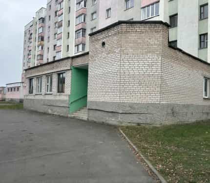 Беларусь, Брестская область, Пинск, Альбрехтовская улица, 4, фото 4