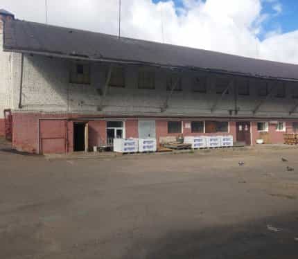 Беларусь, Витебск, улица Горбачевского, 25, фото 2