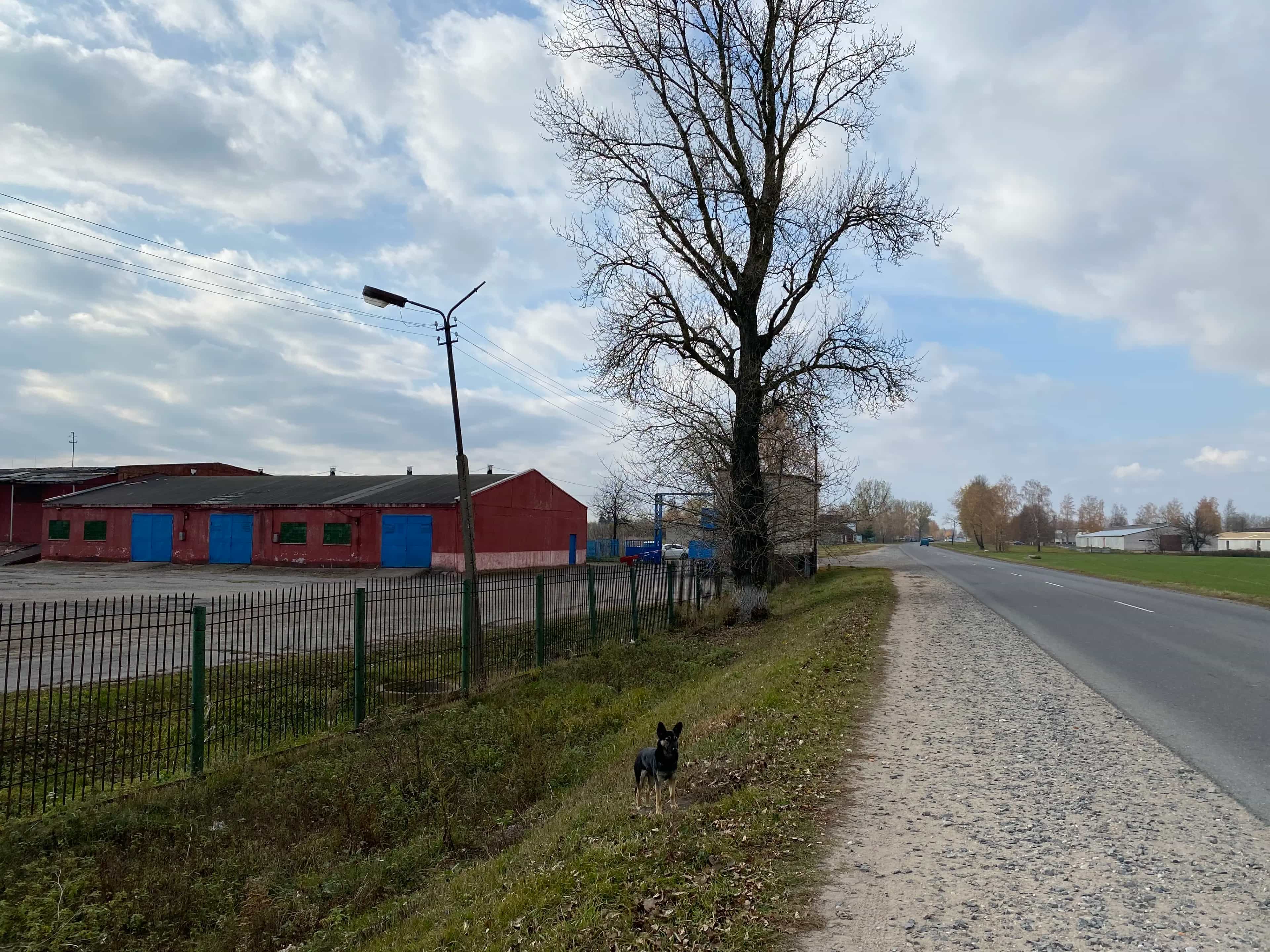 Беларусь, Минская область, Слуцк, улица Максима Богдановича, 228к2, фото 4