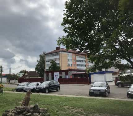 Беларусь, Могилёвская область, Белыничи, улица Калинина, 40, фото 9