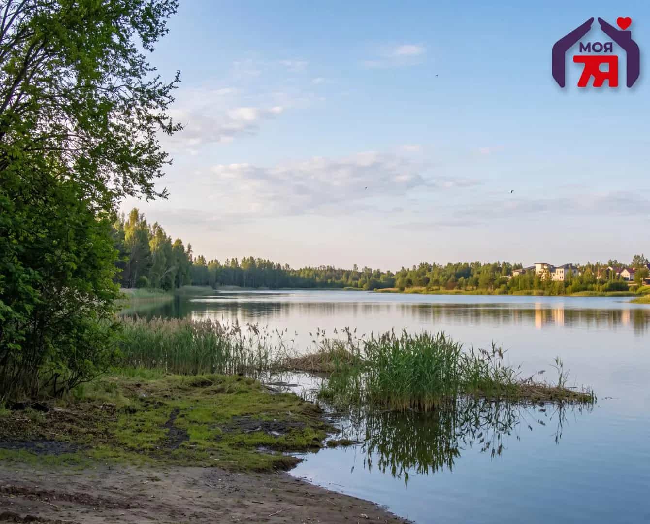 Беларусь, Минский район, Петришковский сельсовет, садоводческое товарищество Анусино-2008, 23, фото 25