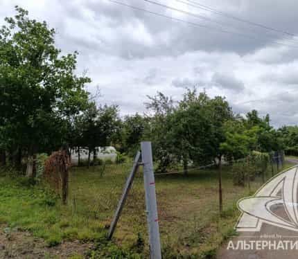 Беларусь, Брестский район, Мухавецкий сельсовет, СТ Колос-9, 94, фото 9