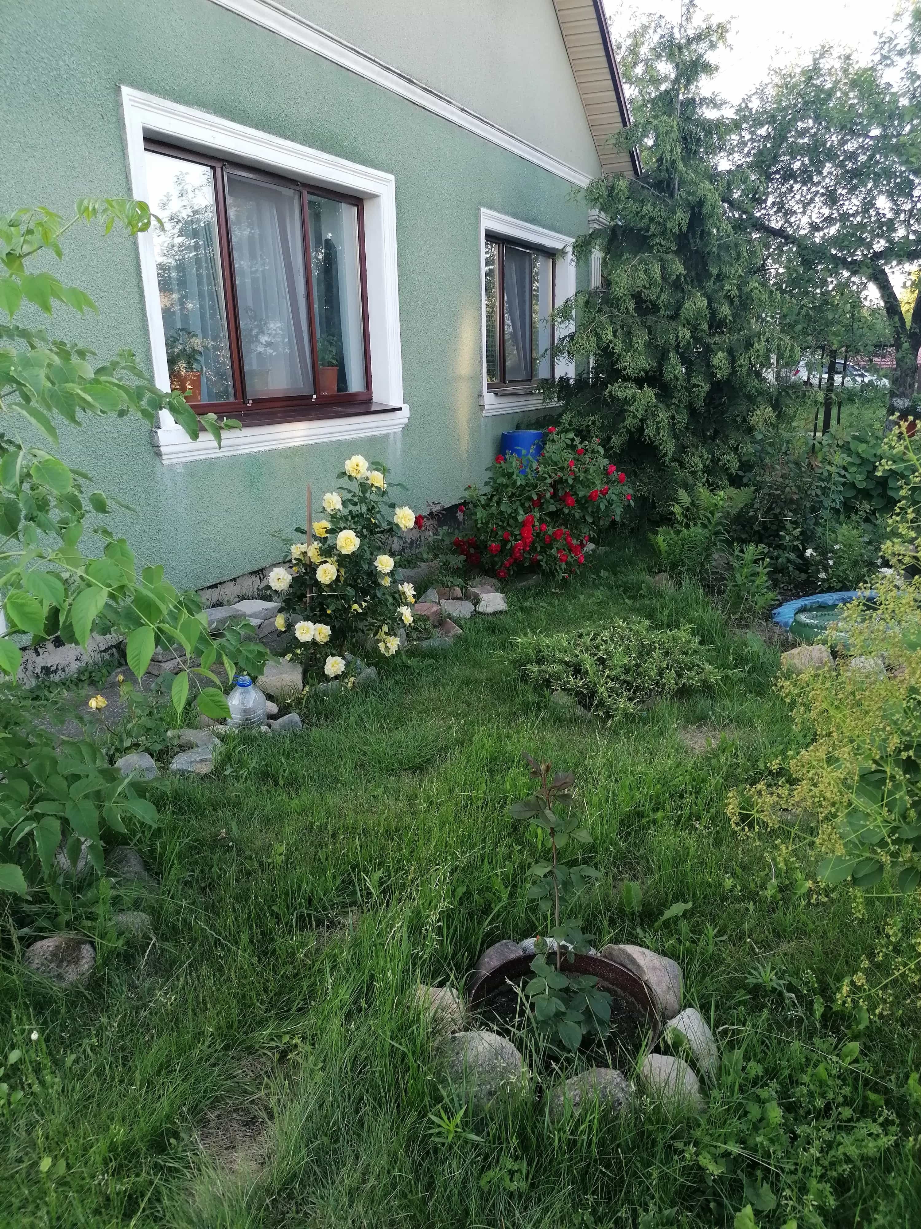 Беларусь, Минская область, Смолевичский район, городской посёлок Зелёный Бор, Заводской переулок, 13, фото 18
