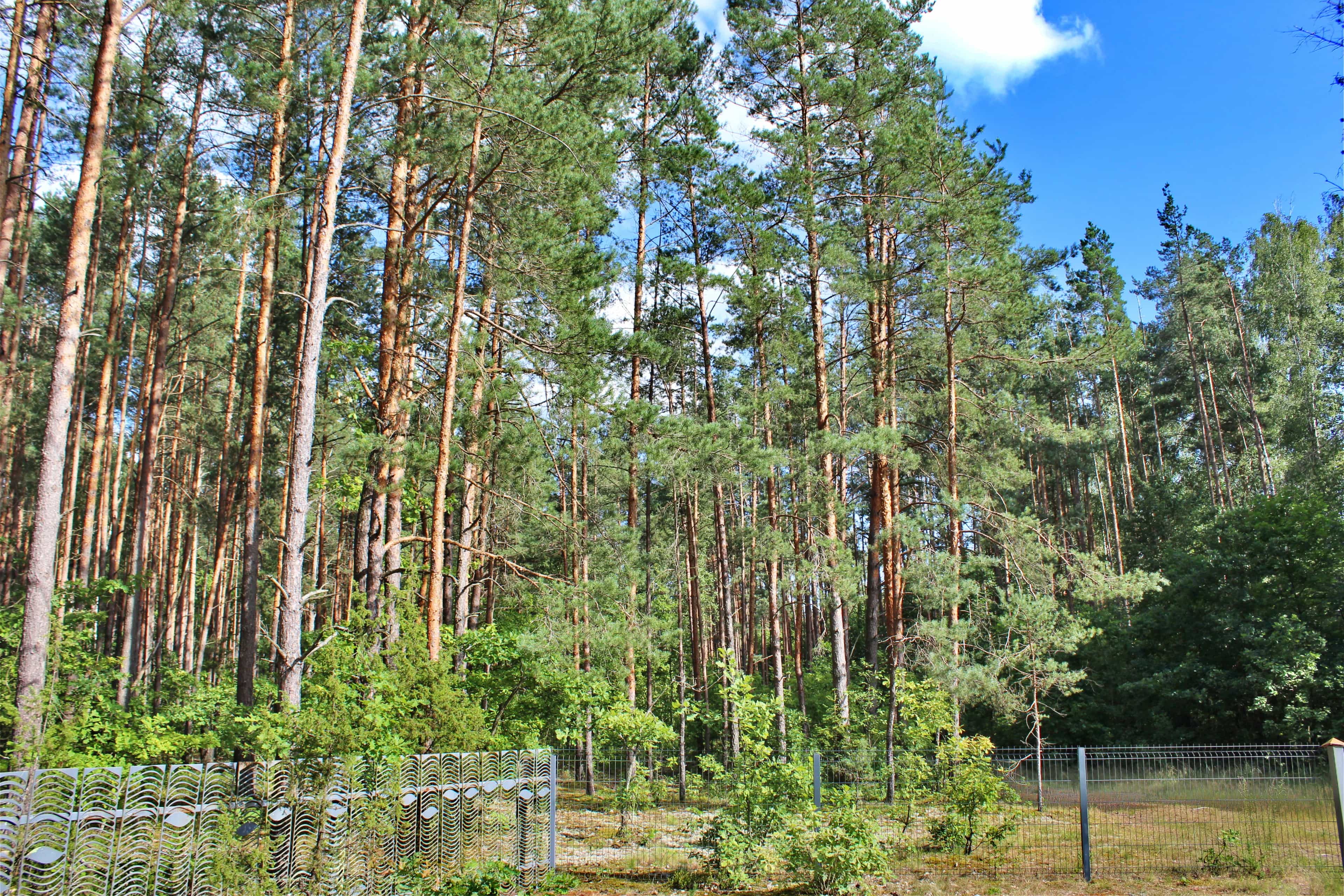 Беларусь, Гродненская область, Сморгонский район, фото 18