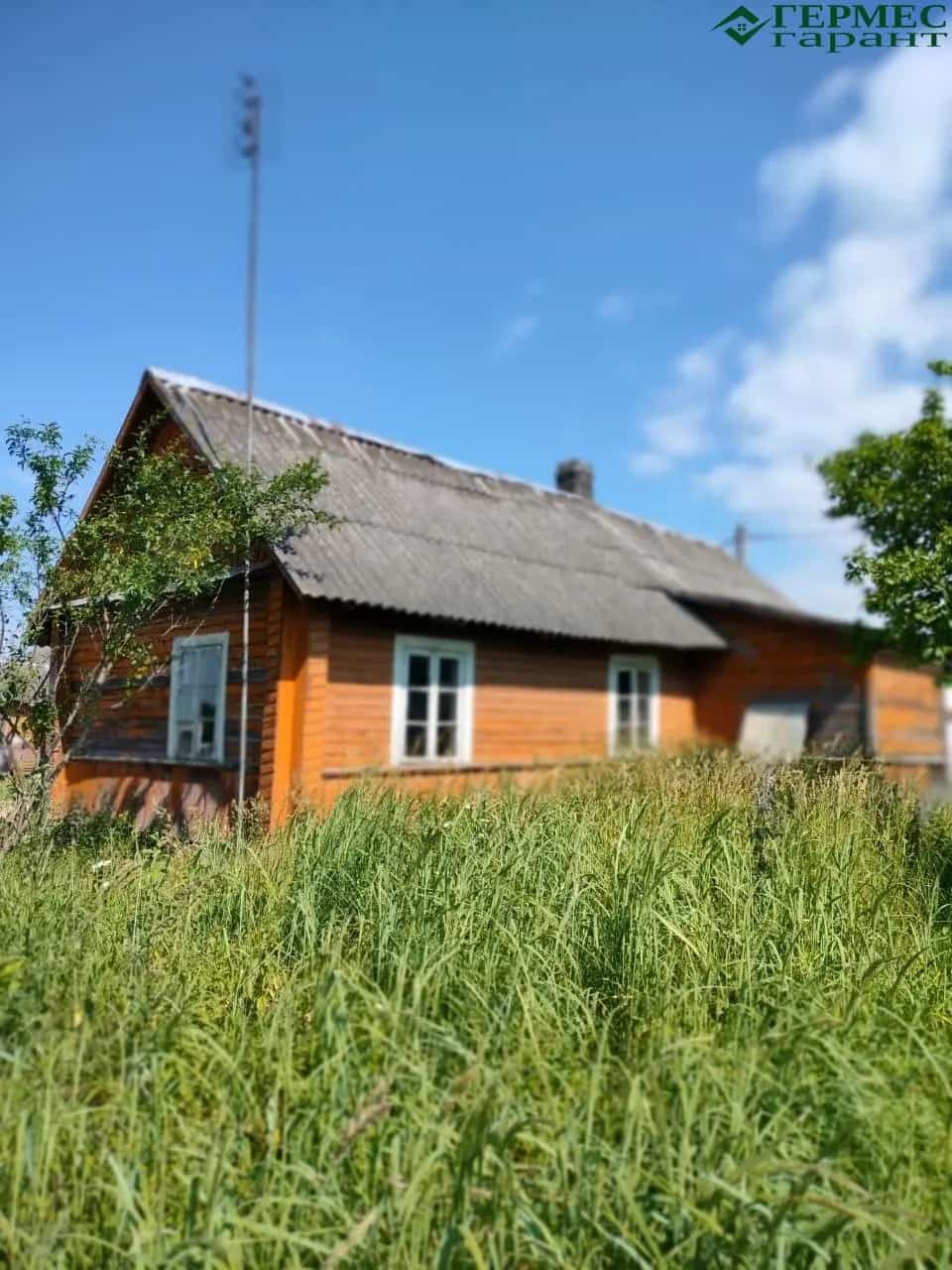 Беларусь, Гродненская область, Лидский район, Дубровенский сельсовет, деревня Копачели, 15, фото 3
