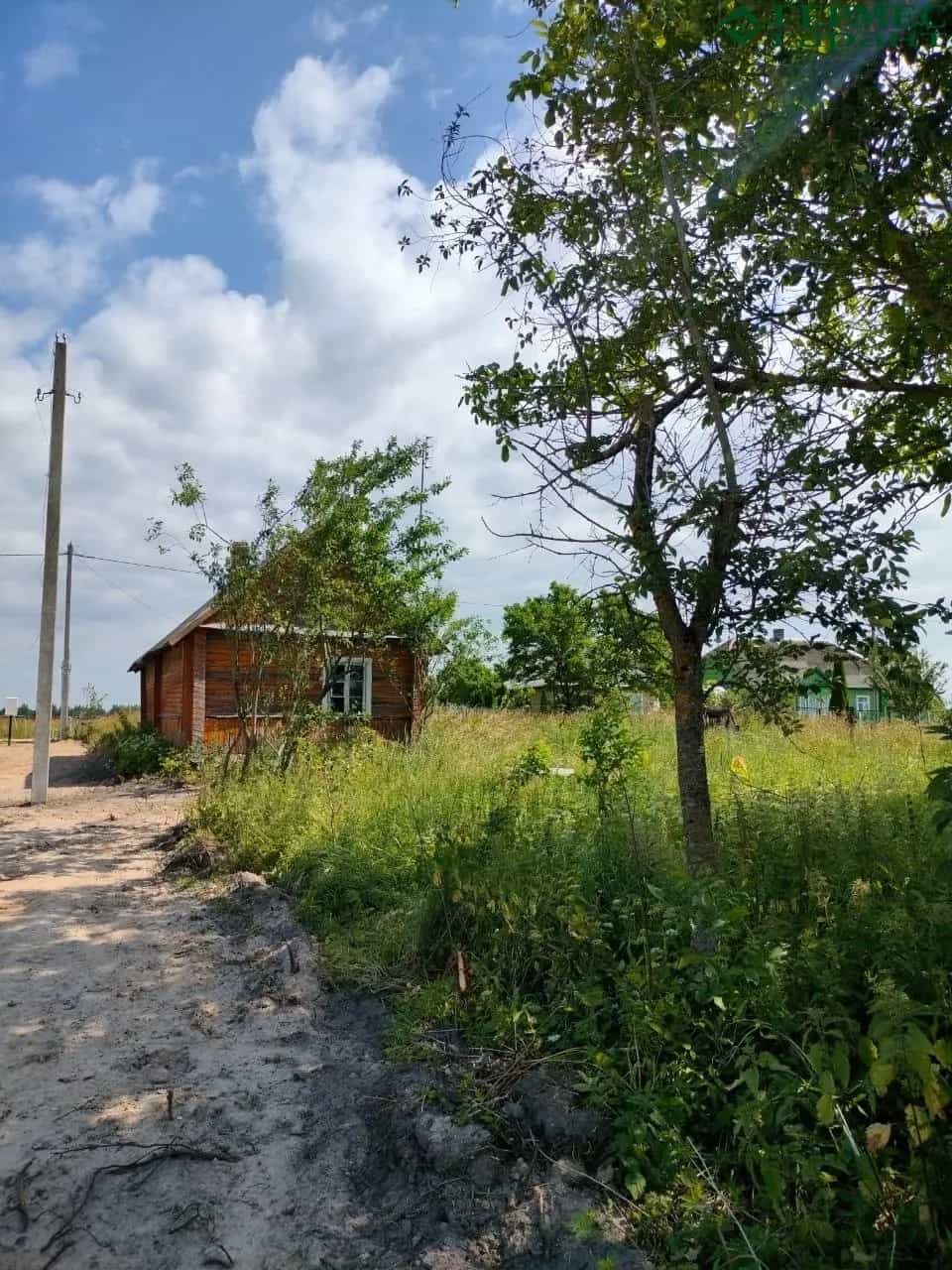 Беларусь, Гродненская область, Лидский район, Дубровенский сельсовет, деревня Копачели, 15, фото 7