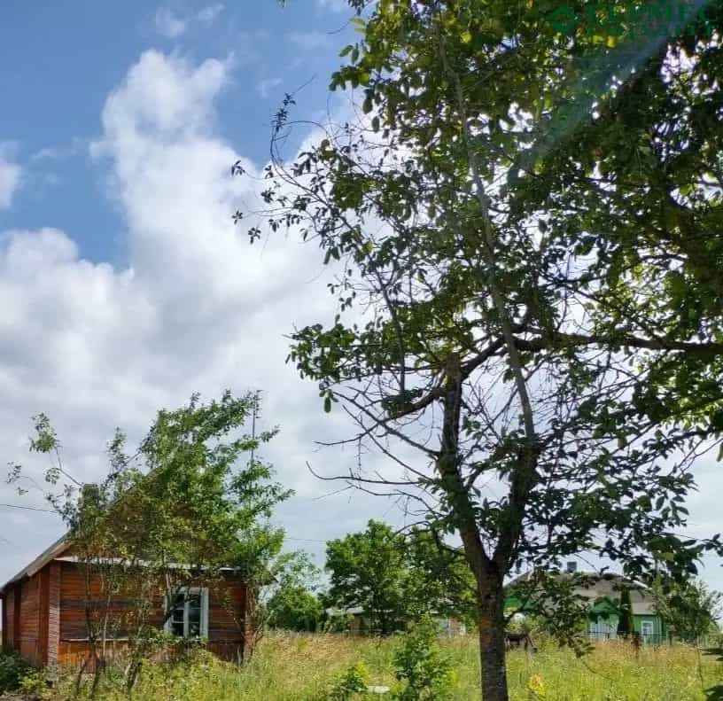 Беларусь, Гродненская область, Лидский район, Дубровенский сельсовет, деревня Копачели, 15, фото 8