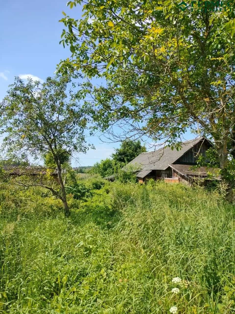Беларусь, Гродненская область, Лидский район, Дубровенский сельсовет, деревня Копачели, 15, фото 9