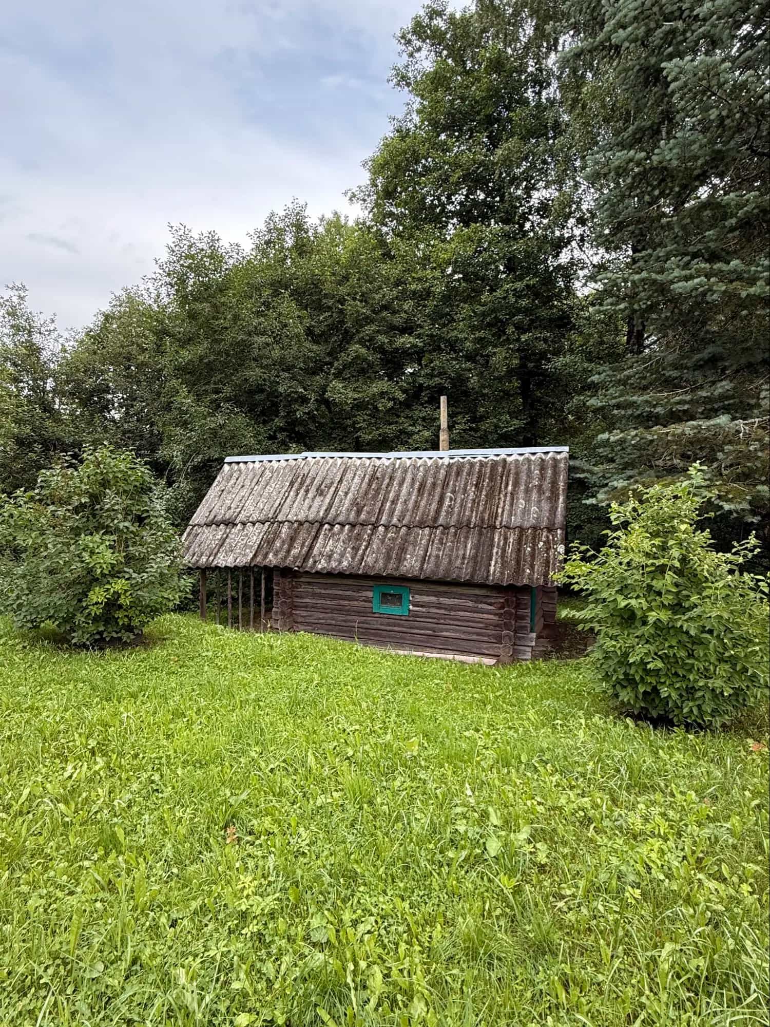 Беларусь, Минская область, Логойский район, Янушковичский сельсовет, деревня Слижино, Центральная улица, 5, фото 12