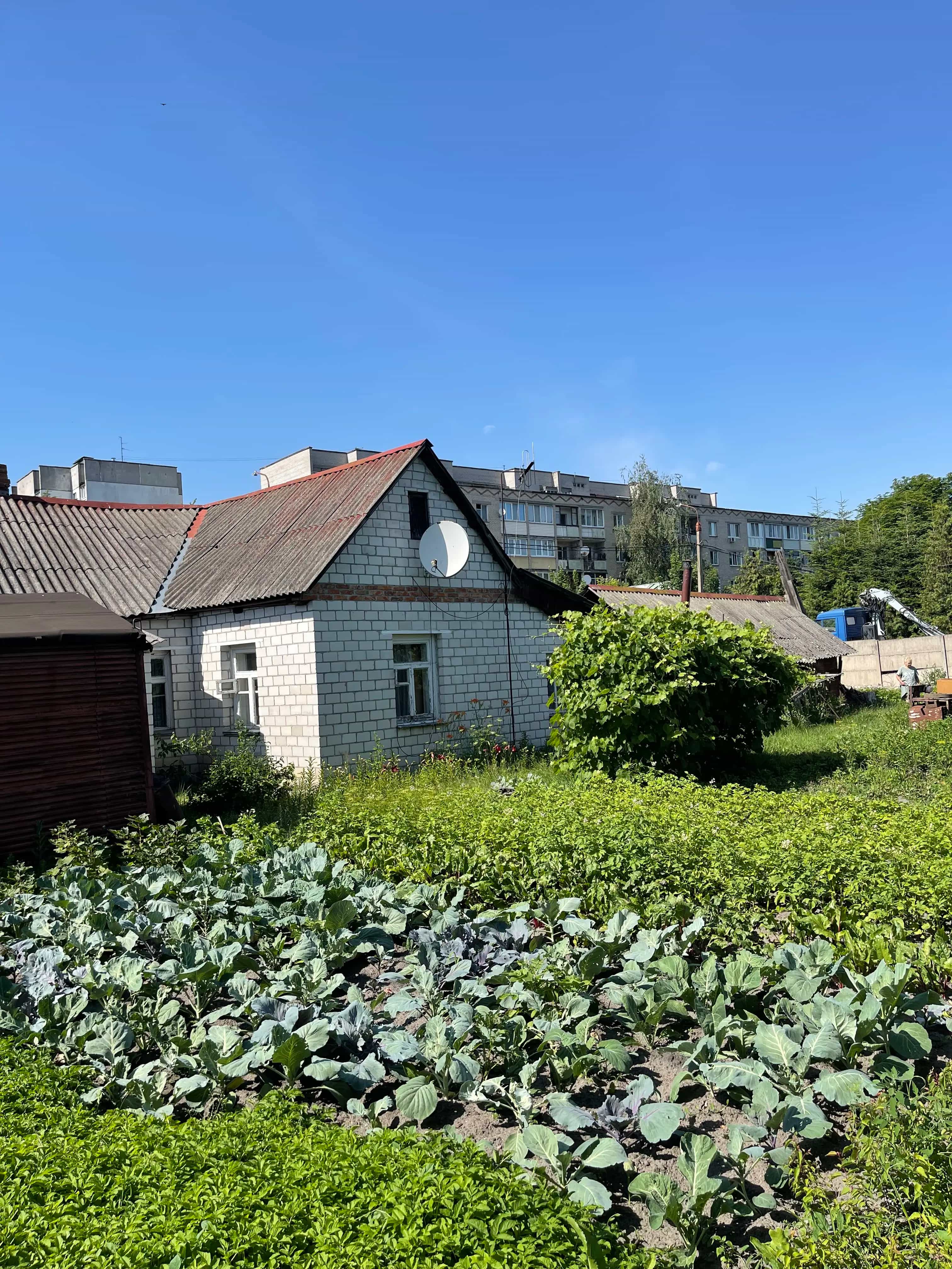 Беларусь, Могилёвская область, Бобруйск, Красноармейская улица, 62, фото 2
