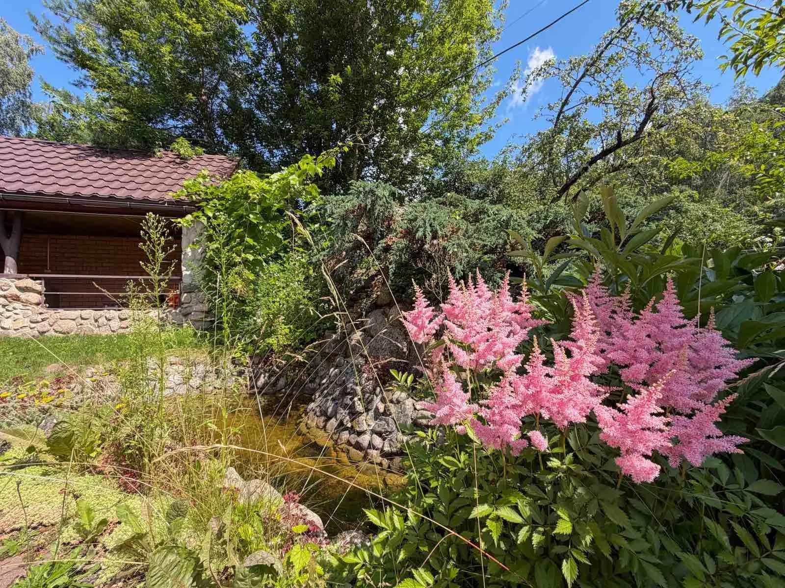 Беларусь, Минский район, агрогородок Ждановичи, 6-я Дачная улица, 100, фото 25