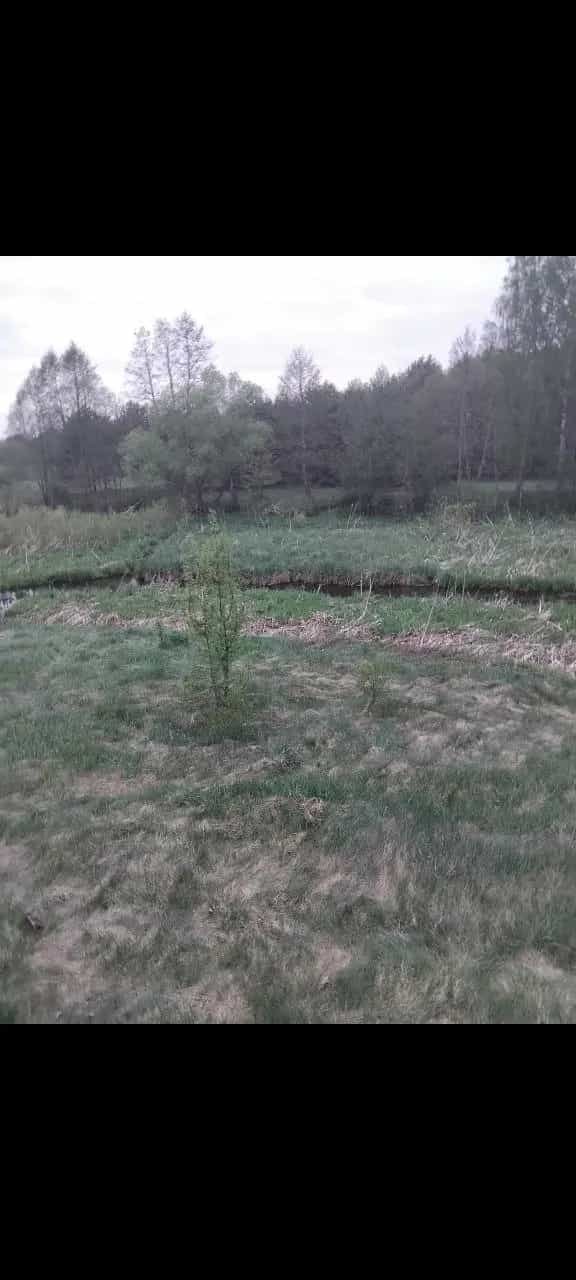 Беларусь, Гродненская область, Ивьевский сельсовет, деревня Луговая, 21, фото 7